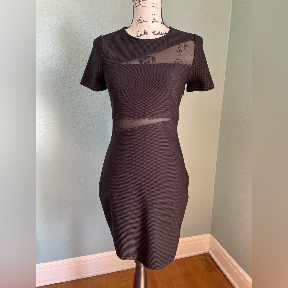 Express Black Body Con Dress with Mesh Embellishments